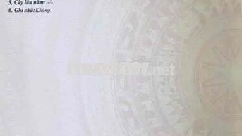 ĐẤT THỔ CƯ SỔ ĐỎ 250m2 ĐỨC HOÀ ĐÔNG - LONG AN