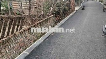 56m vĩnh thanh ngọc chi đông anh đường thông ô tô vào đất cạnh cầu NT