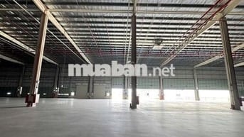 CHO THUÊ KHO HÀNG LOGISTICS  KHO NGOẠI QUAN 60.000m² KCN Hải Sơn