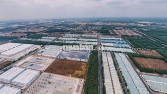 CƠ HỘI VÀNG SỞ HỮU ĐẤT NỀN TRUNG TÂM BÀU BÀNG – BÌNH DƯƠNG