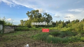 Cần bán đất quản lộ phụng hiệp