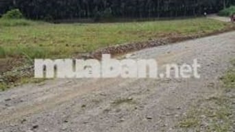 Chính chủ cần bán gấp lô đất thổ cư , đã có sổ , pháp lý rõ ràng