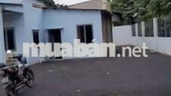 Cho thuê nhà vườn xuân thới sơn 420m2