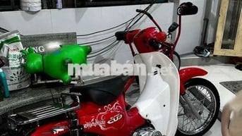 bán cub 50cc