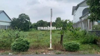 CẦN RA GẤP LÔ ĐẤT THỔ 146m2 XÃ TÂN PHÚ TRUNG - CỦ CHI