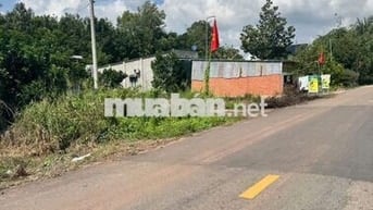 Bán xưởng kinh doanh ngay mặt tiền đường huyện 549m2/750tr có 200 TC