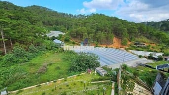 Bán Đất Thổ Cư View Xanh Diện tích 251 m2 Phường 10 _Giá chỉ 7.9 Tỷ