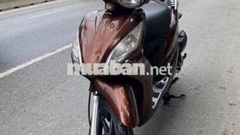 Xe vision đời cao êm đẹp mê ly