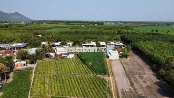 1724m2 đường nhựa, trung tâm Dương Minh Châu. 1,7 tỷ