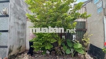 ĐẤT HXH 8M NHỰA, HƯƠNG LỘ 3, TÂN PHÚ, 112,6 M2, GIÁ TRÒN 3 TỶ
