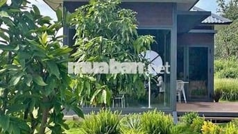 Bán đất thổ vườn mặt tiền DH, Cách UB Phước Thành chưa tới 1km.