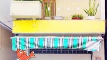 HH 1% MTKD Nguyễn Hữu Hào P9 Q4 44m2 không QH giải tỏa