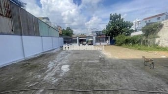 cho thuê nhà mặt tiền lê văn lương 15x35 -3 tầng giá 75 tr