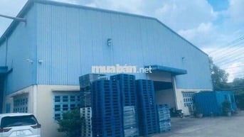 Xưởng Thuận An 2000m PCCC tự động sẵn Văn phòng 3fa sản xuất