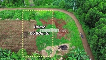Đất 6x18m xã Kim Long, TP.HCM có 80m² thổ cư, sổ riêng, giá chỉ 580tr