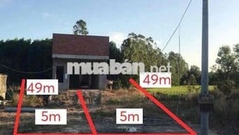 Ngân hàng thanh lý BĐS tại Láng Dài, Đất Đỏ, Bà Rịa - Vũng Tàu 533m2