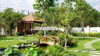 1 SÀO PHỦ HỒNG NGAY PHƯỜNG LONG KHÁNH CẦN BÁN GẤP