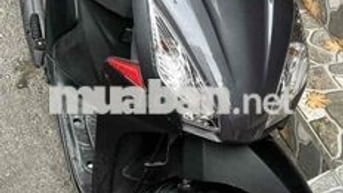 Vison đen biển Hà Nội 29D2