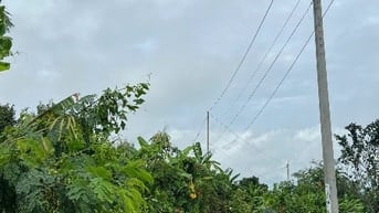 ĐẤT NÔNG NGHIỆP + 10826,8 m2 + LONG KHÁNH. ĐỒNG NAI