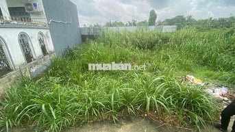 Chủ ngộp gửi bán lô đất 60m2 tại Bùi Thanh Khiết, Tân Túc, BC, SHR