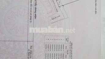 🎉 MỨC GIÁ TỪ 4 TỶ 200 CHO LÔ ĐẤT ẤP 3 – XÃ BÀ ĐIỂM – TP HCM