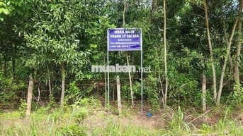 Ngân hàng thanh lý 7136m2 đất Cao su tại Chơn Thành