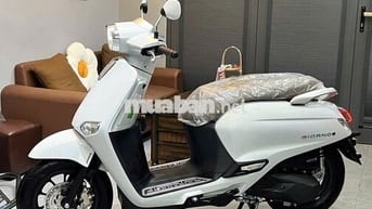 Honda Giorno 125 ABS Thailand 2025 Hải quan