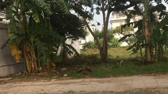 BÁN ĐẤT KHU DÂN CƯ 10 MẪU PHƯỜNG BÌNH TRƯNG ĐÔNG QUẬN 2