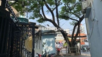 BÁN TÒA CHDV & MẶT BẰNG KINH DOANH HOÀNG VĂN THỤ - DT:6,5x20CN:123m2