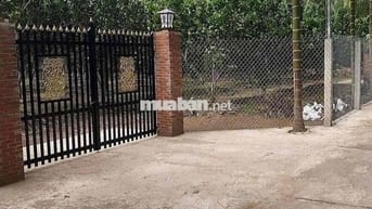 BÁN ĐẤT THỔ CƯ 500m2 650 TRIỆU BAO SANG SỔ HỒNG RIÊNG