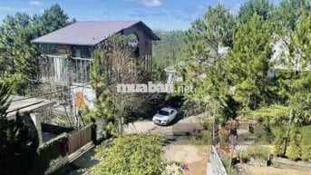 Chủ bể hụi bán đất biệt thự view thông mặt tiền P9 Đà Lạt giá ngộp