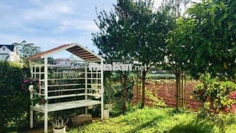 Bán lỗ nhà tâm huyết 235m2 có sân vườn, giá rẻ,