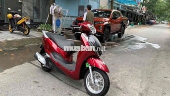 Lead mẫu mới 2025