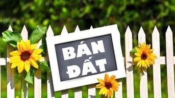 Bán đất khu dân cư Mặt tiền Quốc Lộ 50, xã Bình Hưng