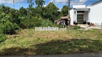 Cần bán đất tại xã Thạnh Phú - Cà Mau