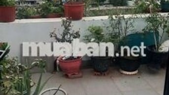 Cần bán căn hộ Penhouse Mỹ Thuận 236/24 An Dương Vương