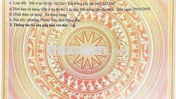 ❌❌Kèo thơm 100 năm mới có 1 lần.  (15x22) 327m2 chỉ hơn 2 tỏi