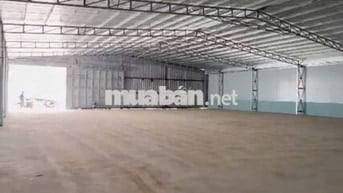 Cần cho thuê gấp kho diện tích lên đến 650m2 ở Đường Trần Trọng Cung