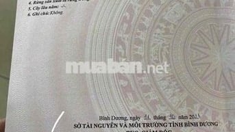 Bán đất bình chuẩn 63 le thị trung vào 300m