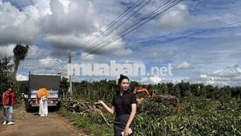 🌿 BÁN ĐẤT SIÊU RẺ ĐINH VĂN, LÂM HÀ – GIÁ CHỈ 435 TRIỆU/LÔ 🌿