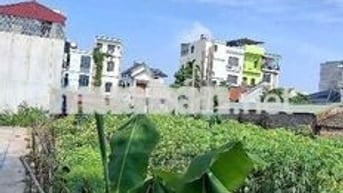 Bán Đất Hải Bối Đông Anh 71m2 5.39 tỉ