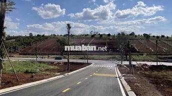 Cần Bán Gấp Lô Đất Ở View Hồ Thành Phô Đà Lạt đường ô tô