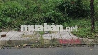 Hướng Đông Bắc , Mát Mẻ Cả Ngày