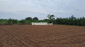 Cần bán đất bãi sông Hồng, ngõ 76 An Dương đi vào, 550 tr 1 sào, KMC