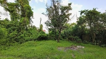 Đất thổ cư Tu Lễ, Kim Đường, 190m2, MT7.5m, nở hậu, 2 thoáng, 1.52 tỷ 