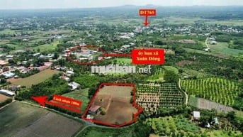 7500m2 đất Xuân Đông, Cẩm Mỹ , full hồng chỉ 700tr/sào