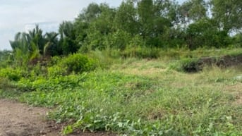 Chính chủ bán đất MT rừng sác vào 500m,mặt sông rạch cá gấu lớn