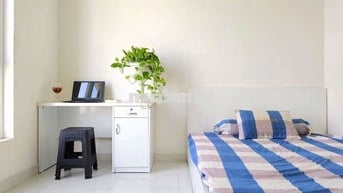 Cho thuê Phòng trong Căn hộ Terra Rosa