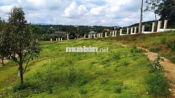 Lô đất 9C-7 – 188,8m², vị trí đẹp, giá tốt cho nhà đầu tư!