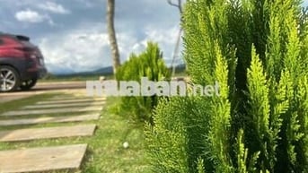 KẸT TIỀN CẦN BÁN GẤP LÔ ĐẤT NỀN HÒA NINH LÂM ĐỒNG